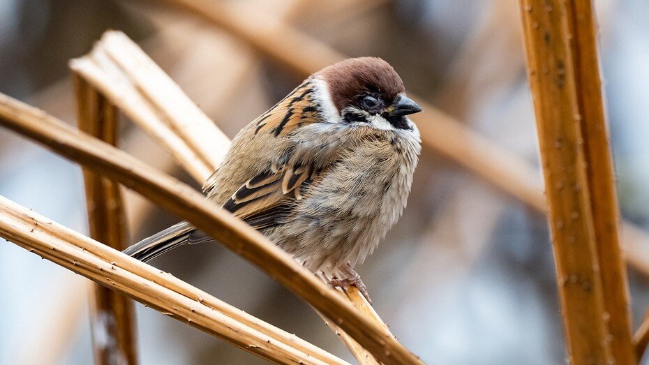     Здесь и далее: freepik.com