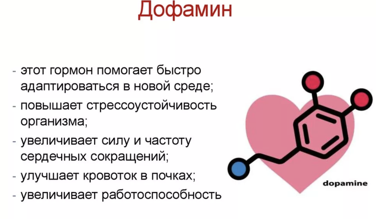 Как действуют гормоны на организм. Дофамин функции гормона. Дофамин серотонин функции. Гормоны счастья дофамин и серотонин. Дофамин это простыми словами.