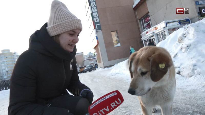    Как сохранить брак, рассказали сургутяне в День святого Валентина
