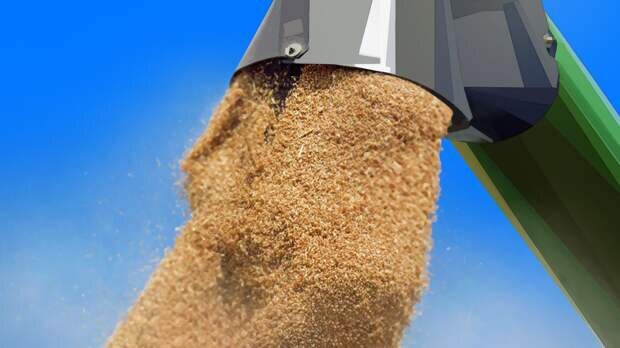  зерно .когда его много.  фото: картинки  яндекса..