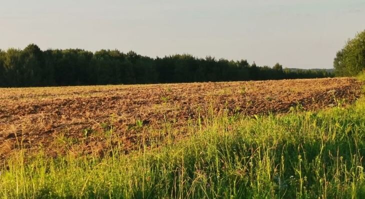    Борьба с сорняками – что нового