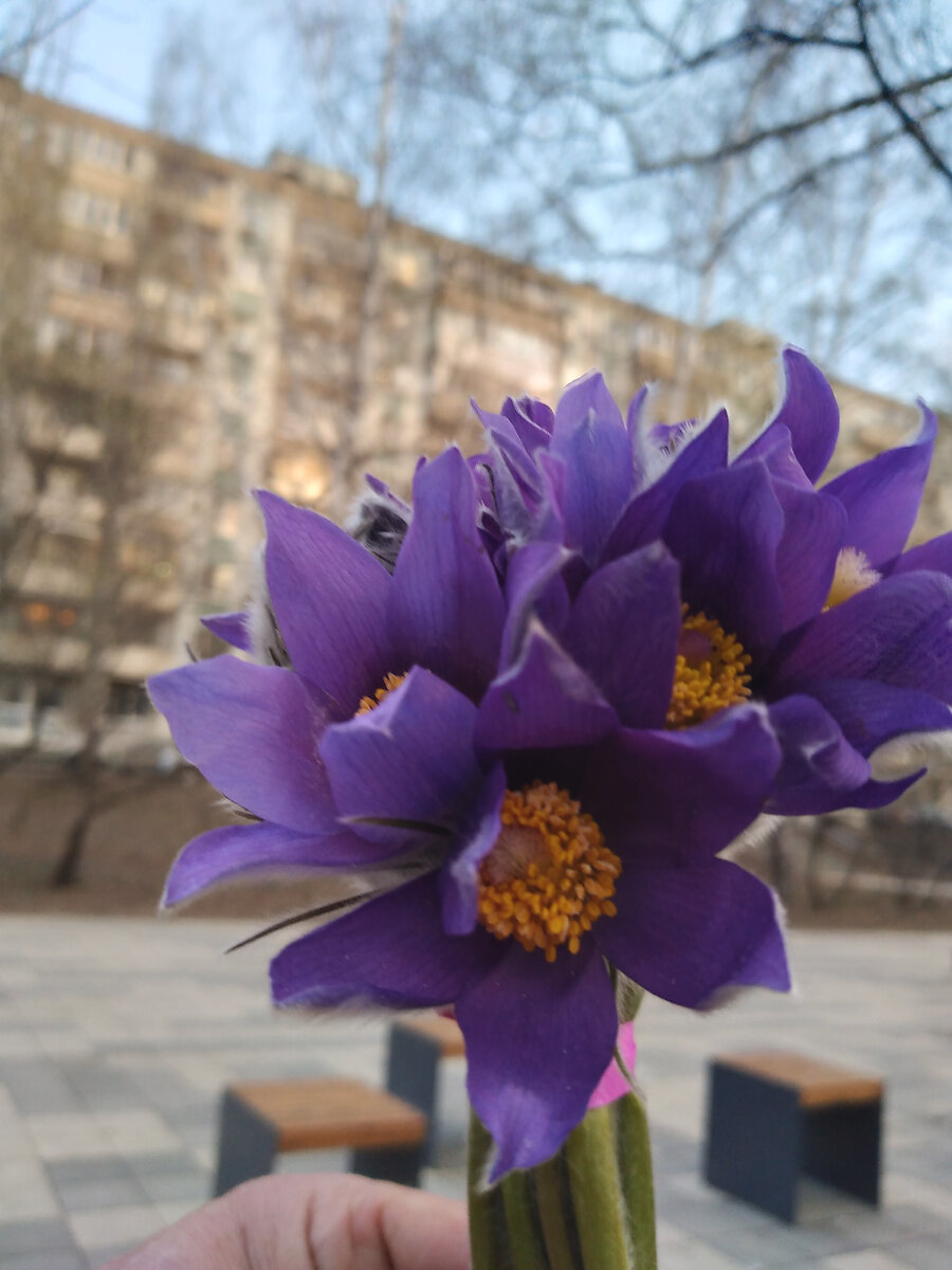 личный архив