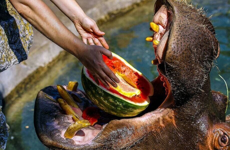    Фото: goodfon.com