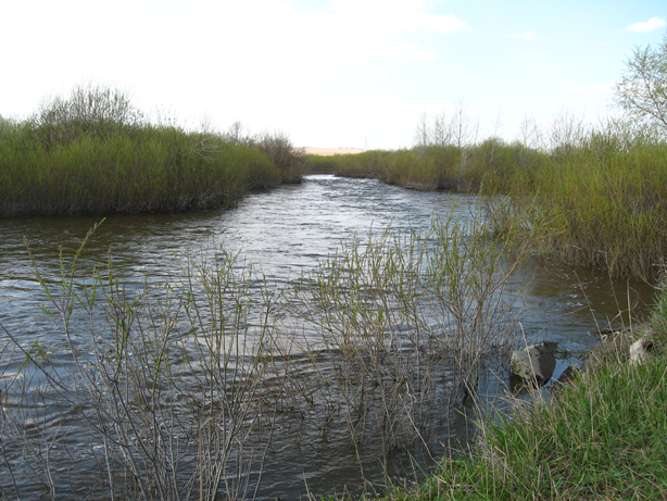 Река Уй. Деревня Брюхово.