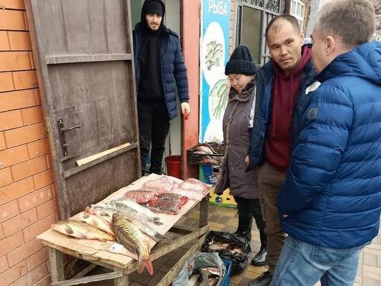  news.astrgorod.ru