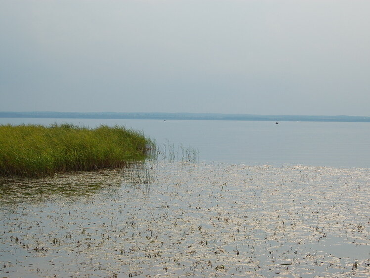     Плещеево озеро. Фото: Яншевского Андрея.