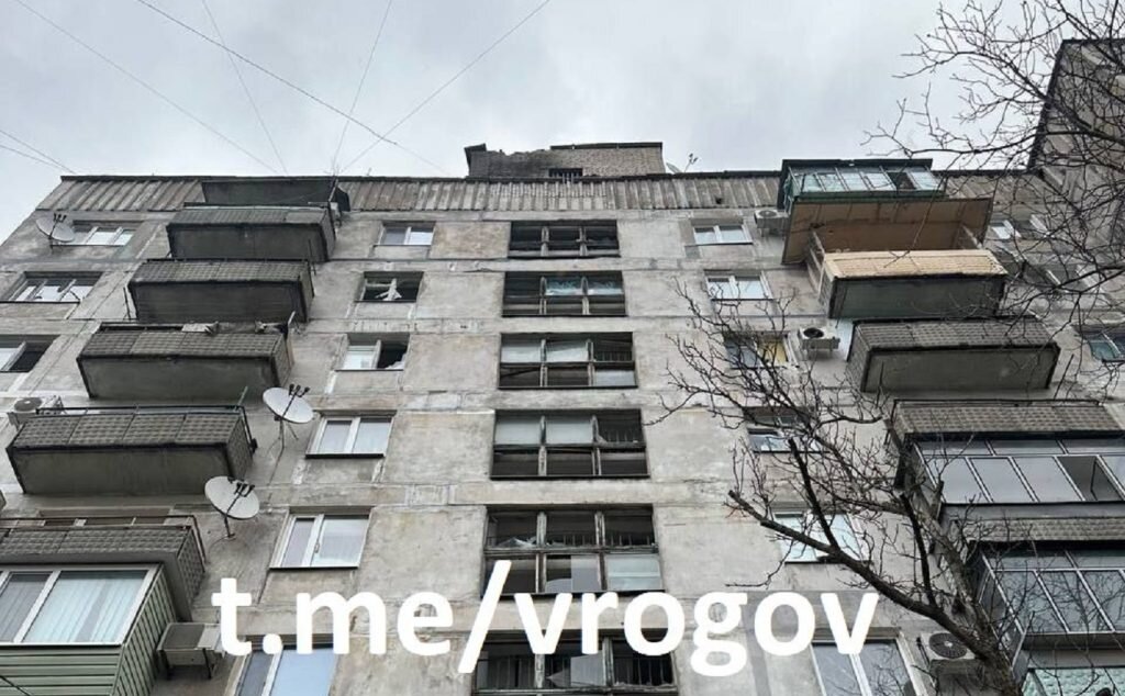    Фото: t.me/vrogov Елена Стеценко