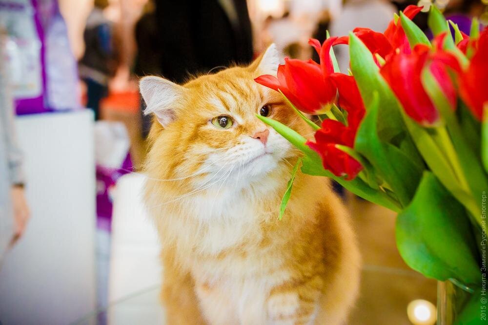 ���� �� ���������.