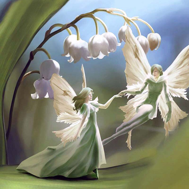 Фото взято из интернета 