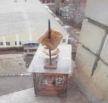 вот так теперь выглядит моя кормушка.