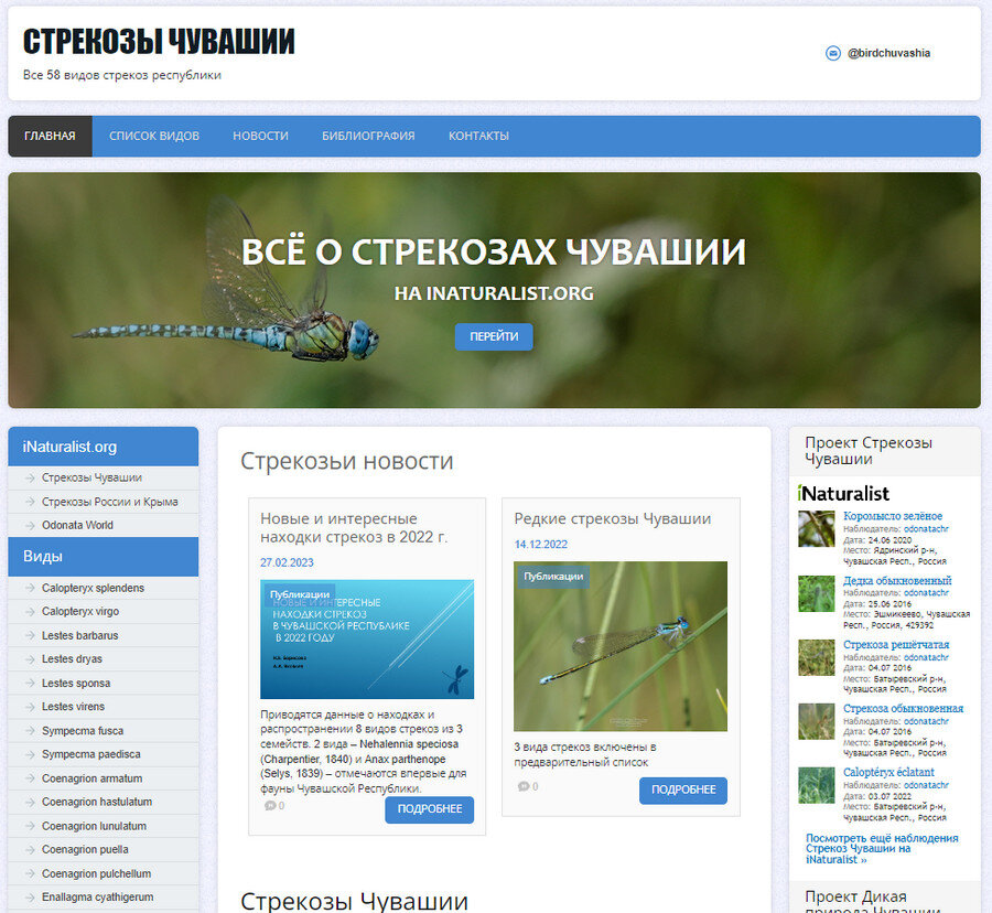 Страницы сайта