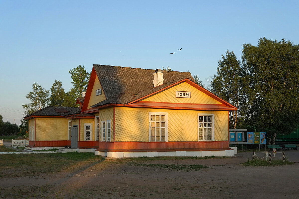 Погода в хвойной на неделю