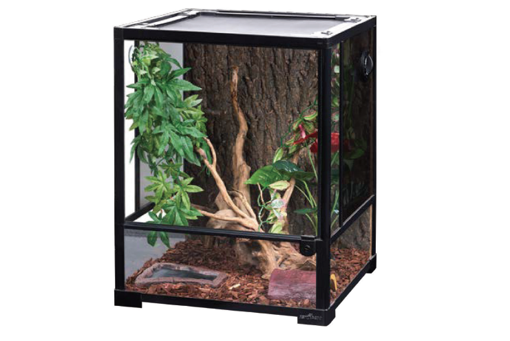 Идеальное жилище для бананоеда – компактный вертикальный террариум Repti-Zoo 45х45х60 см (арт. 83635005).
