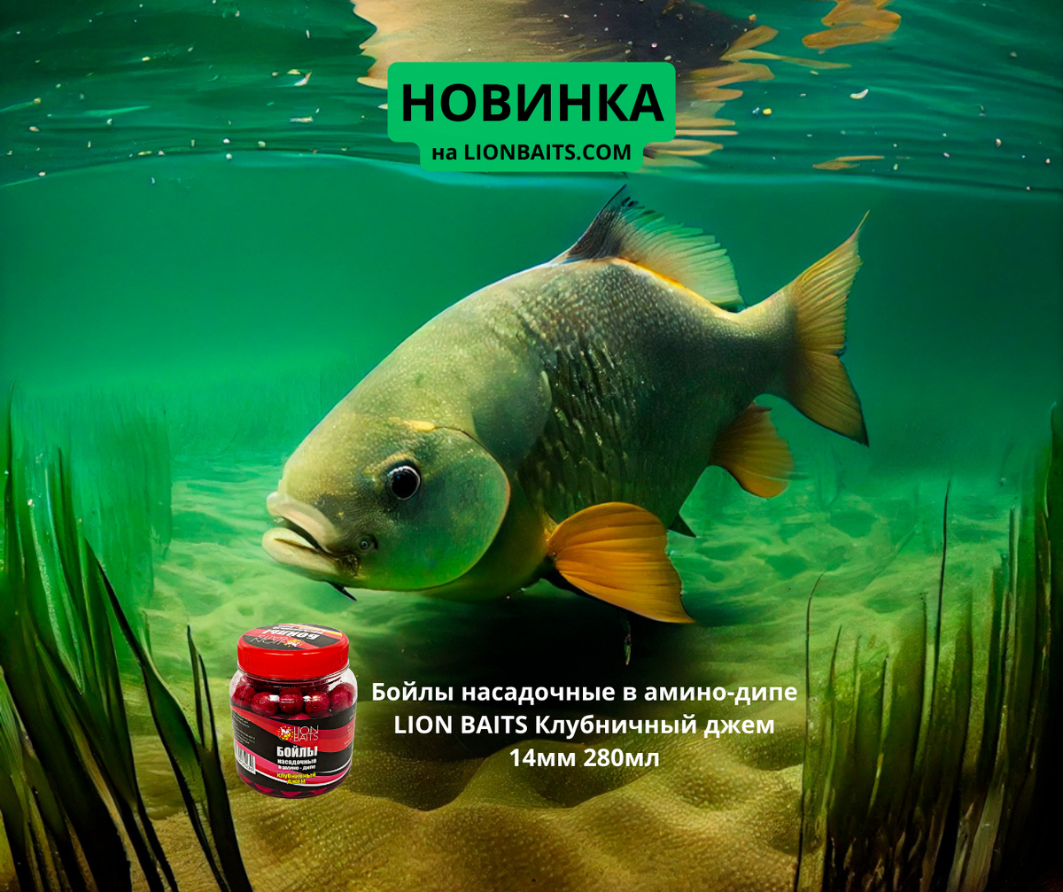Бойлы насадочные в амино-дипе LION BAITS Клубничный джем 14мм 280мл
