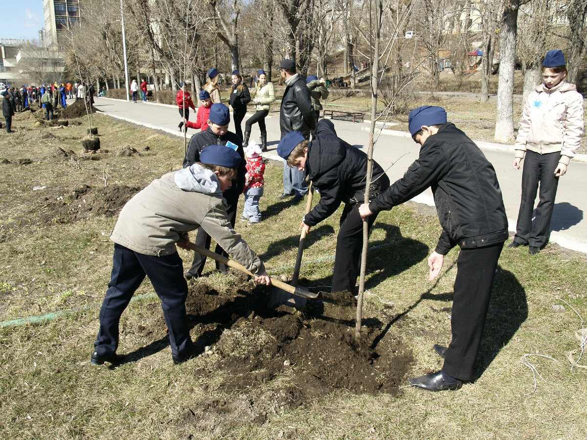 Субботники - это не только генеральная уборка наших городов и сёл, но и прекрасная пора высадки деревьев. Фото: Alexander Legky/globallookpress.com