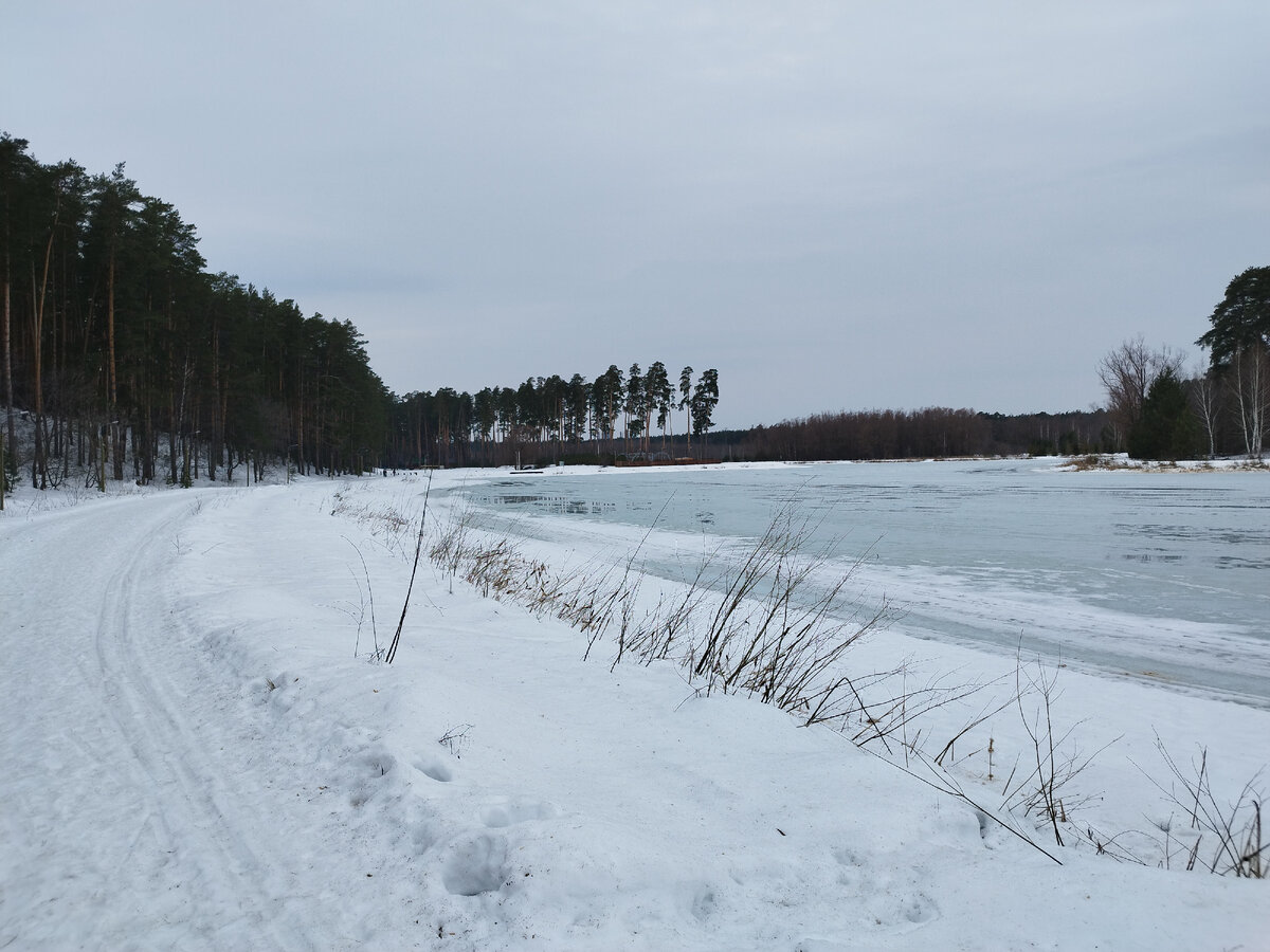 озеро лебяжье томск