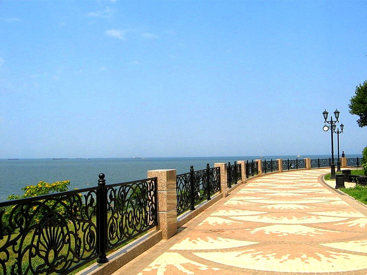 Фото с Яндекс-картинок