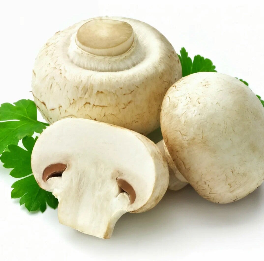 Изображение взято из интернета