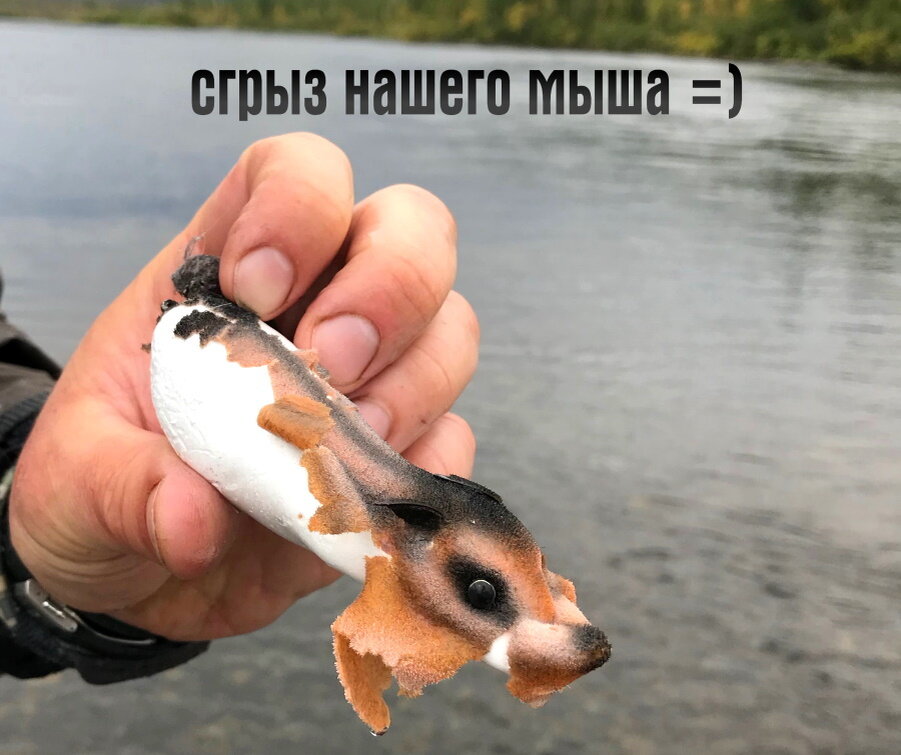 Таймень - укрощение строптивого | Рыбалка на тайменя | Дзен