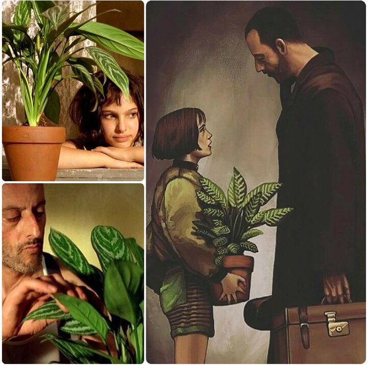 Коллаж автора