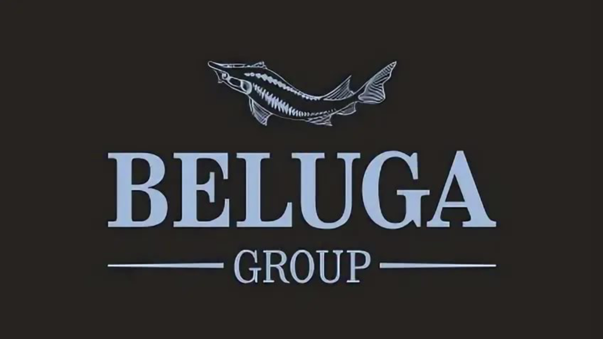 Бренд BELUGA GROUP