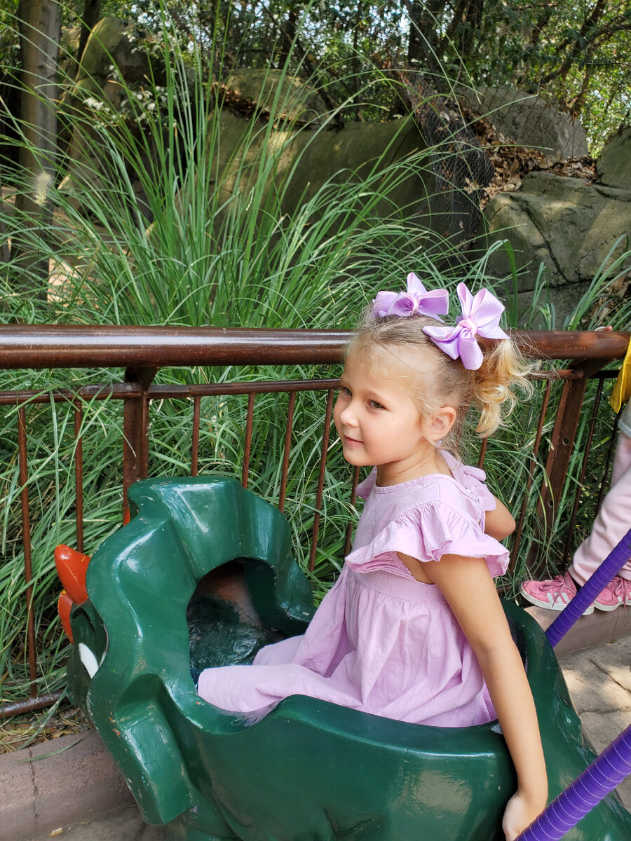 Прогулка по зоопарку Чапультепек в Мехико