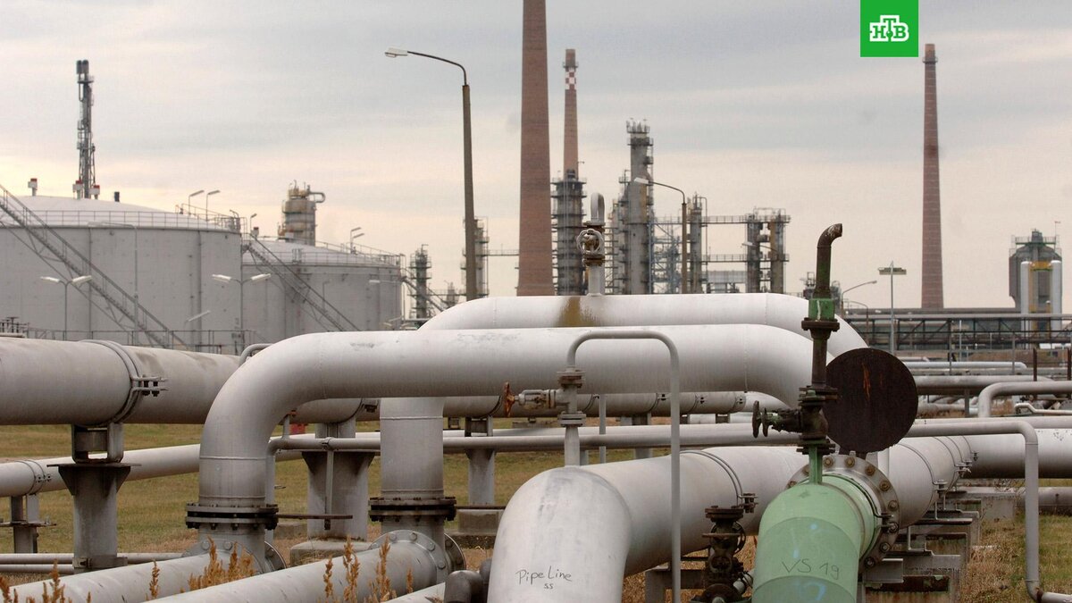    Фото: Associated Press © 2023, Sven Kaestner