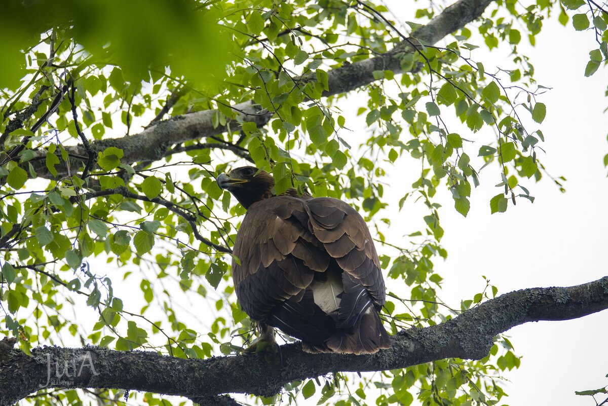 Первый взгляд на новые владения.