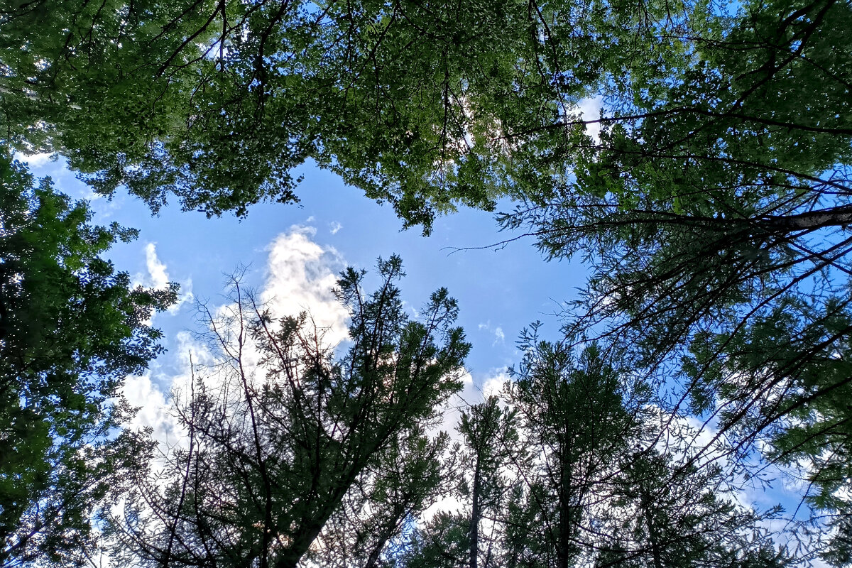 Фото: Maksim Konstantinov/globallookpress.com