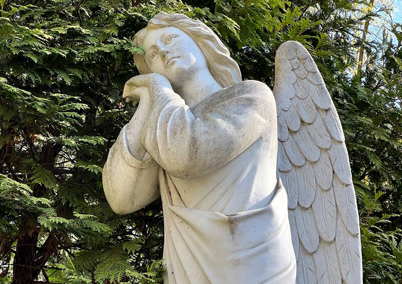    Психолог рассказал, почему так важны консультации специалистов для родственников умерших