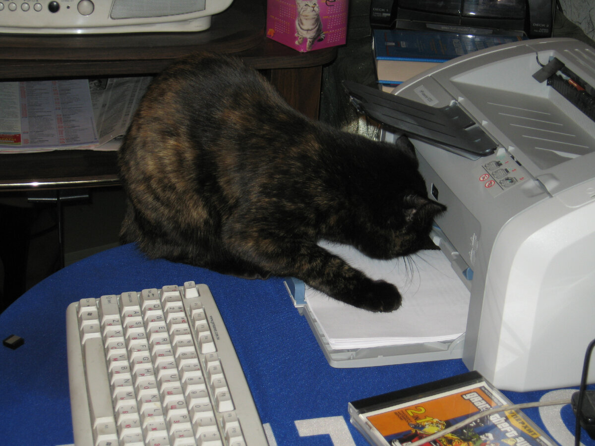 Фотография автора