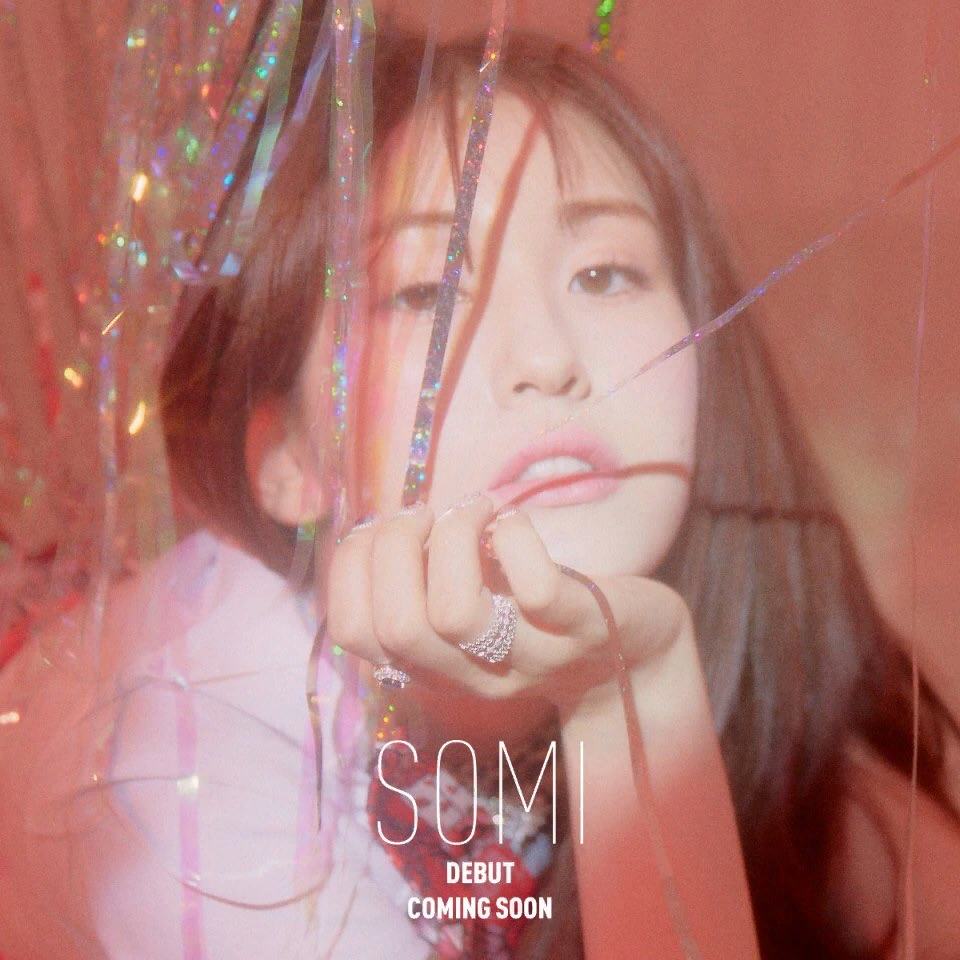 Источник: k-pop.fandom.com