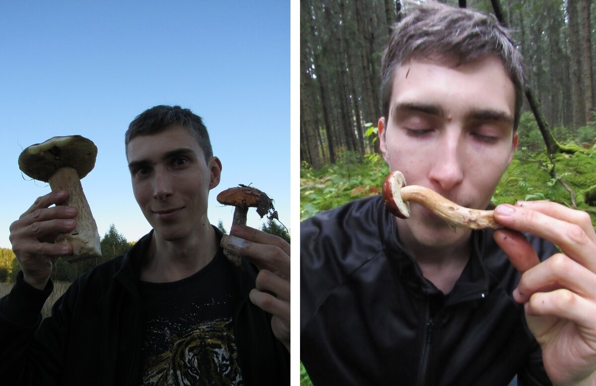 Автор нюхает грибы в лесу, чтобы написать очередной шедевр. )))