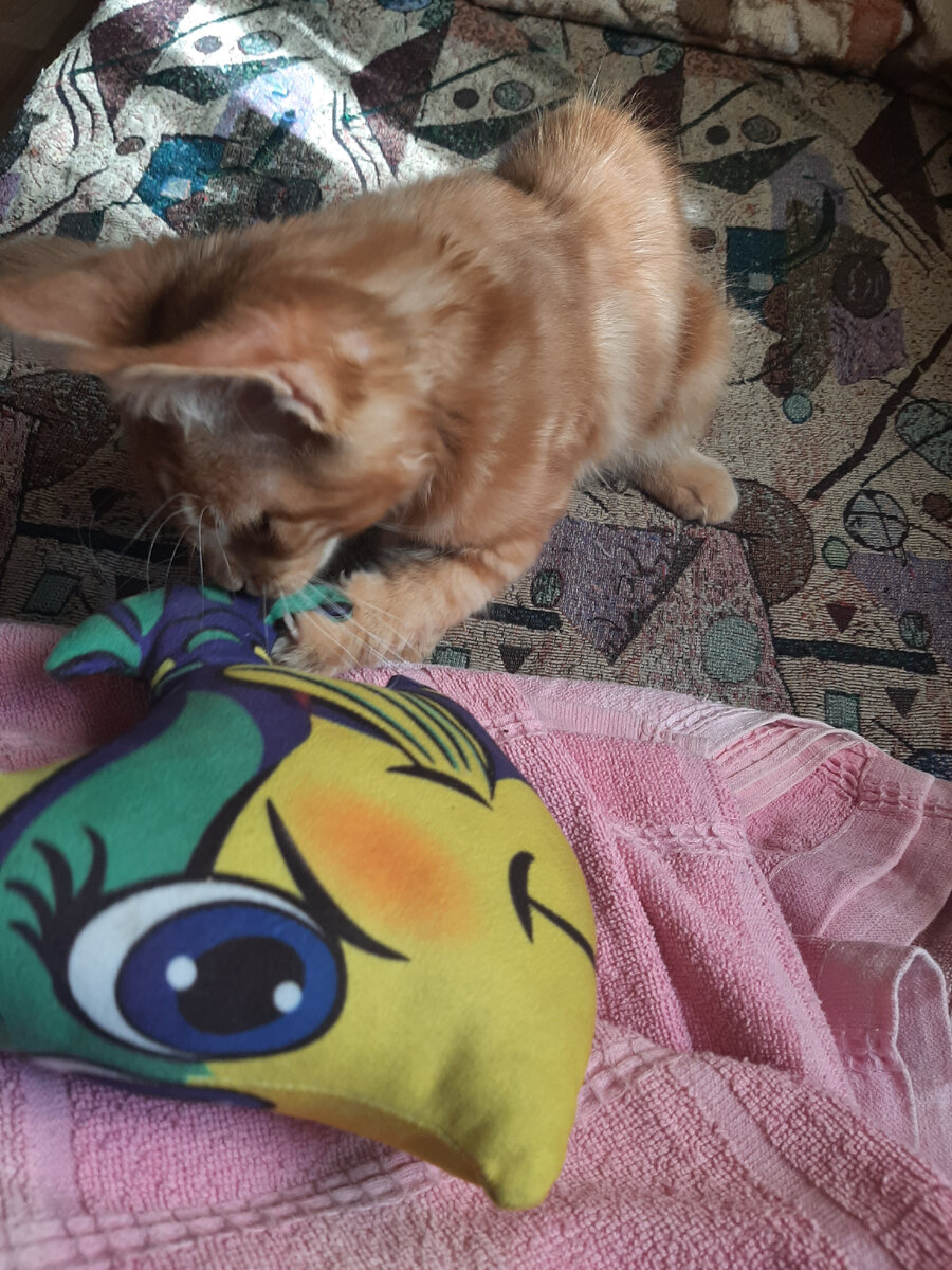 'Что ты принесла?'