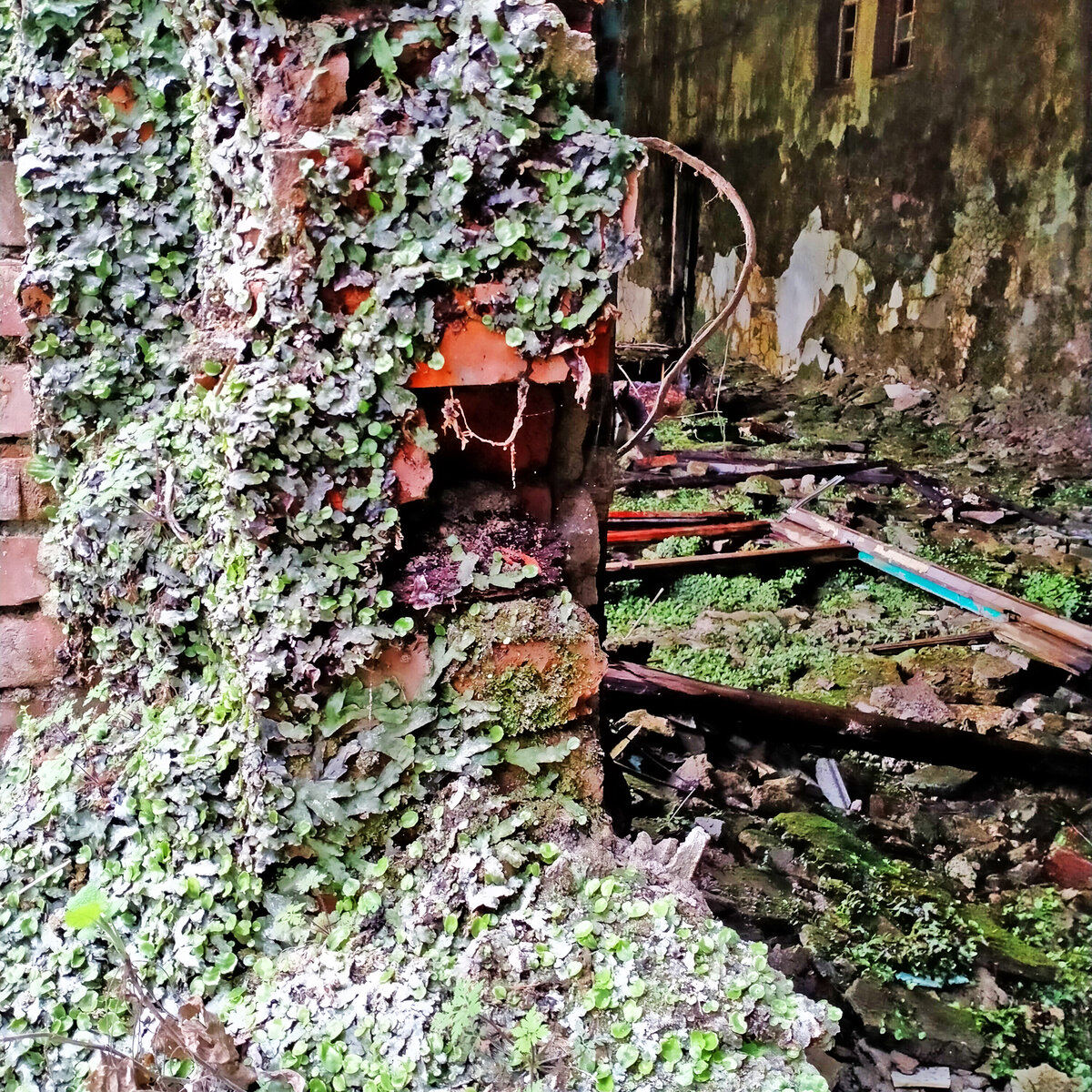 Абхазский город-призрак Акармара через пару лет утратит свою ...