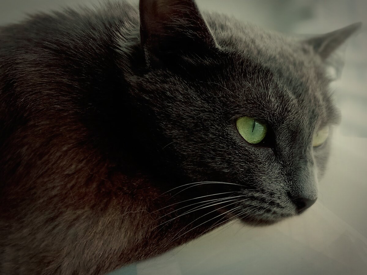 Я тут только посмотреть 