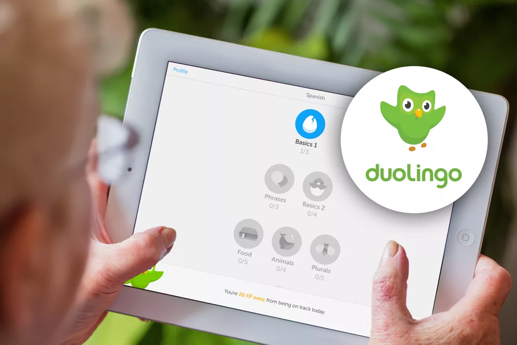 Https duolingo com. Duolingo приложение. Значок Дуолинго. Иконка приложения Дуолинго. Duolingo картинки.