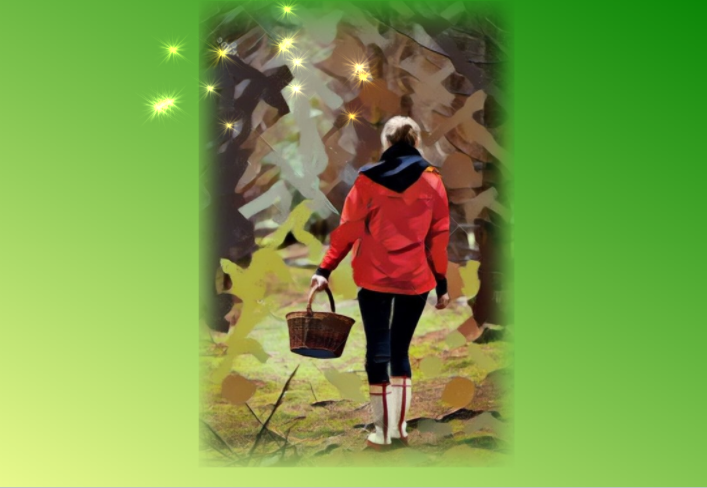 Коллаж автора. Источники для коллажирования Яндекс.Картинки