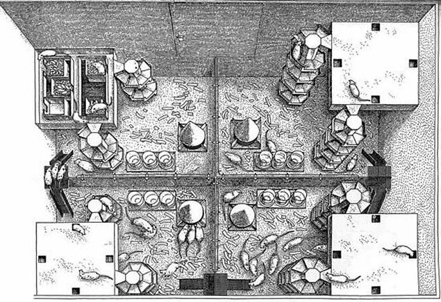 Место проведения эксперимента 