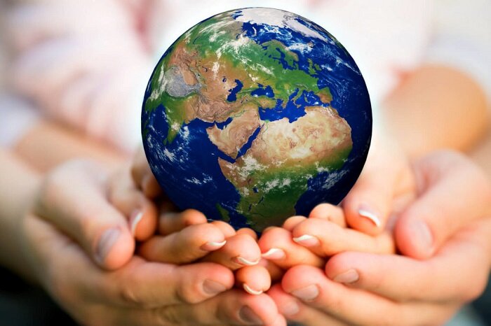 Фото Яндекс Картинки.