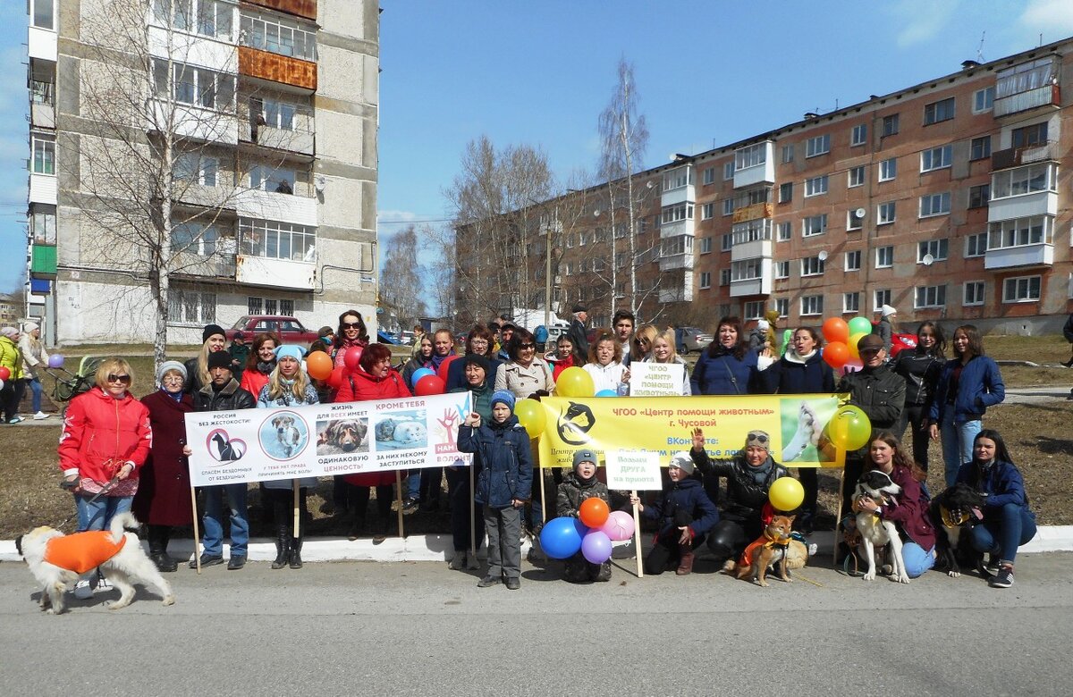 1 Мая 2019 года