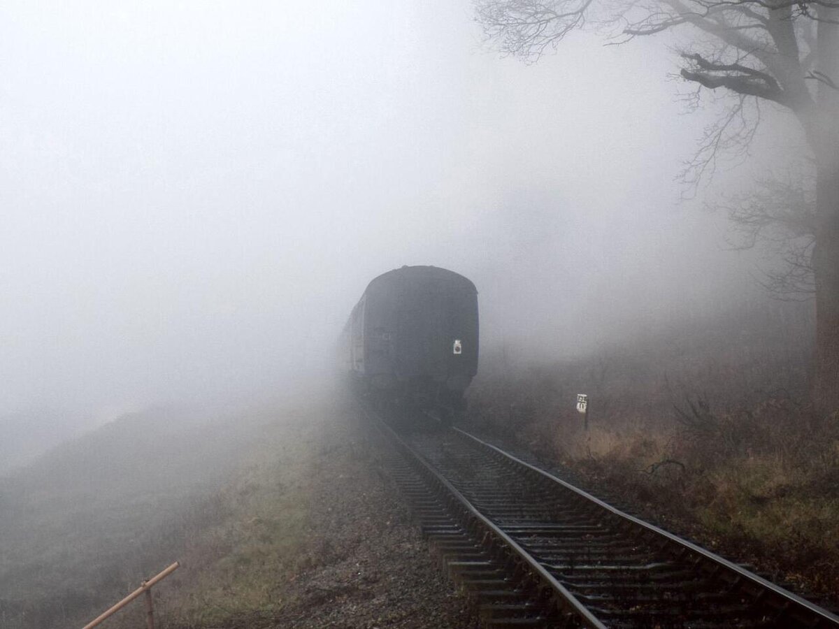 Безжалостный поезд не обратил на маму никакого внимания