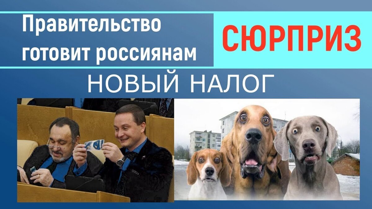 Смеялись над Америкой, а у самих еще хуже. Регистрация домашних питомцев может обернутся налогом.