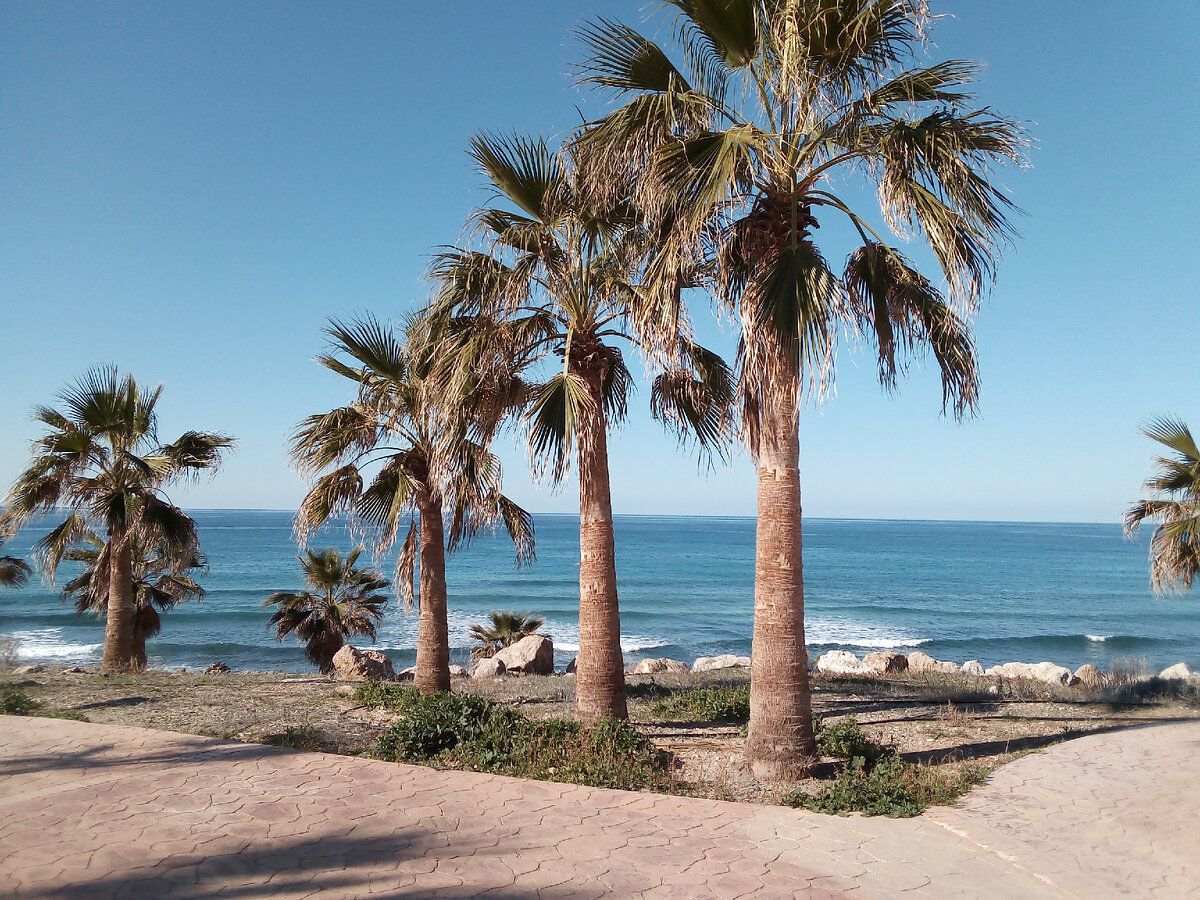 на променаде в Хлоракасе, регион Пафос