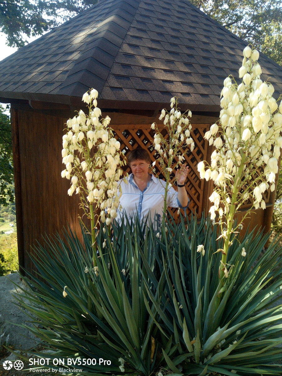 Личное фото автора статьи начало восхождения на Иверскую гору 