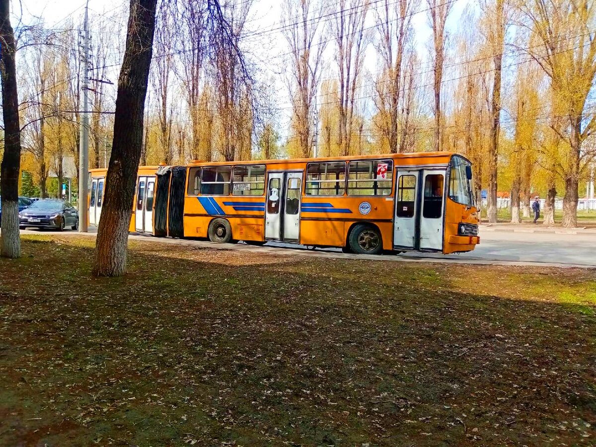 Последние Автобусы Ikarus, на маршрутах Саратова! Увы автобус детства,  юности уходит от нас. | Буффонище | Дзен