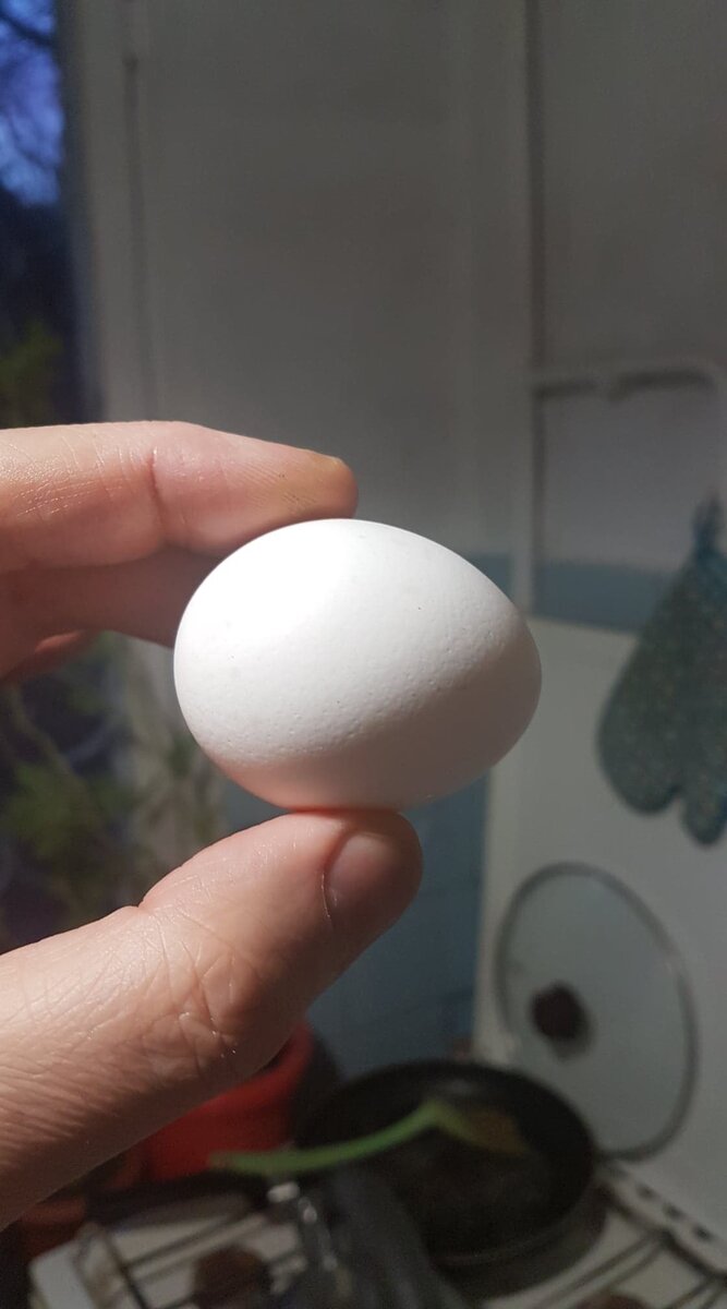 Кассирша даже вынула яйцо. Фото автора