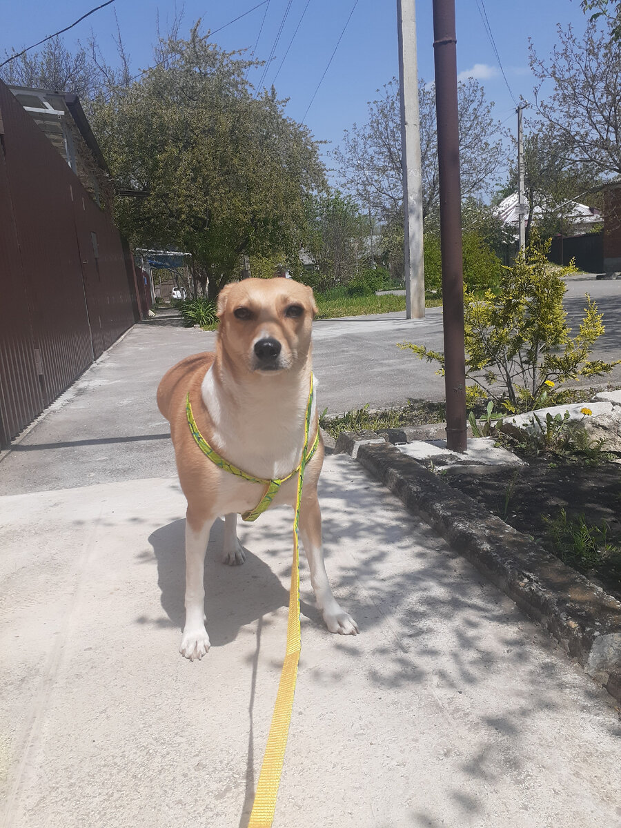 Это я сегодня 