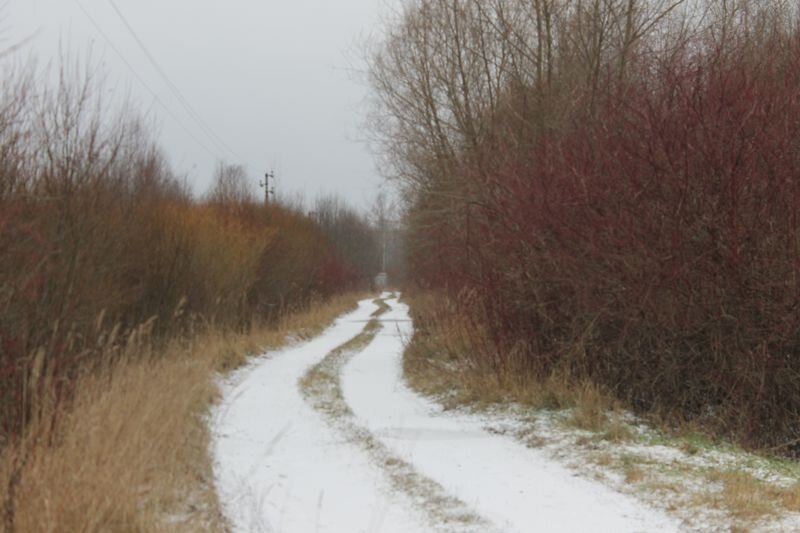 наша "дорога к дому"