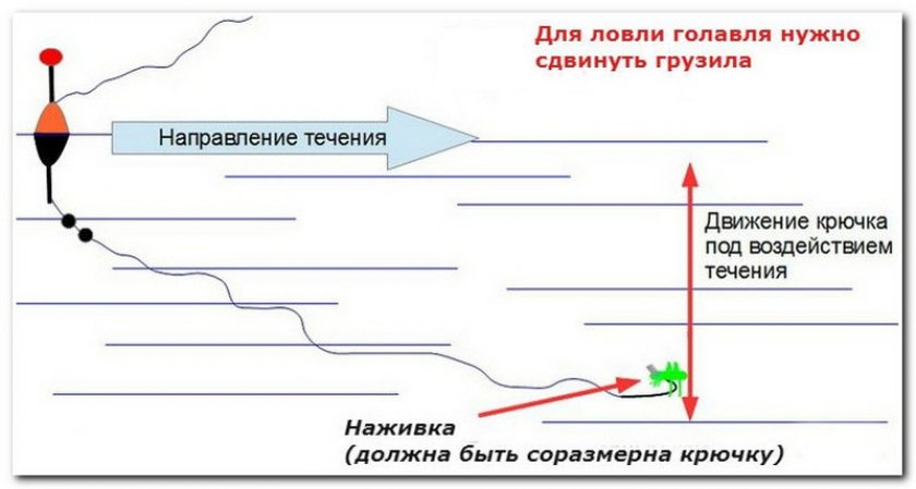 Как ловить язя на спиннинг? Рыбалка Лучший отдых Дзен